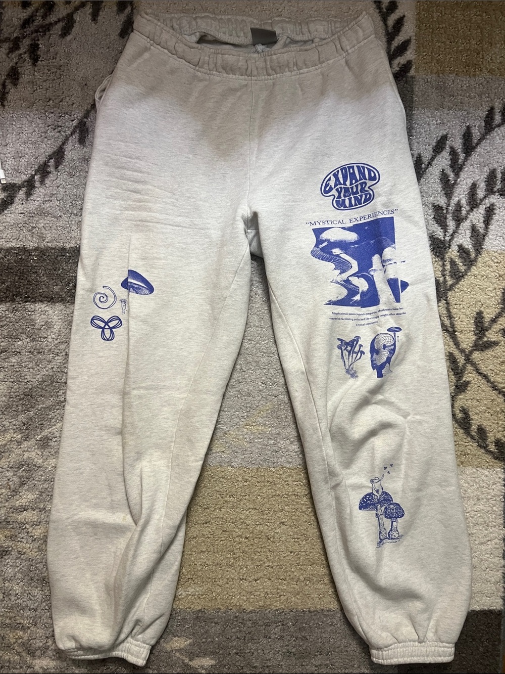 Aritzia TNA Light Gray Graphic Cozy Mega Sweatpants with Blue Prints